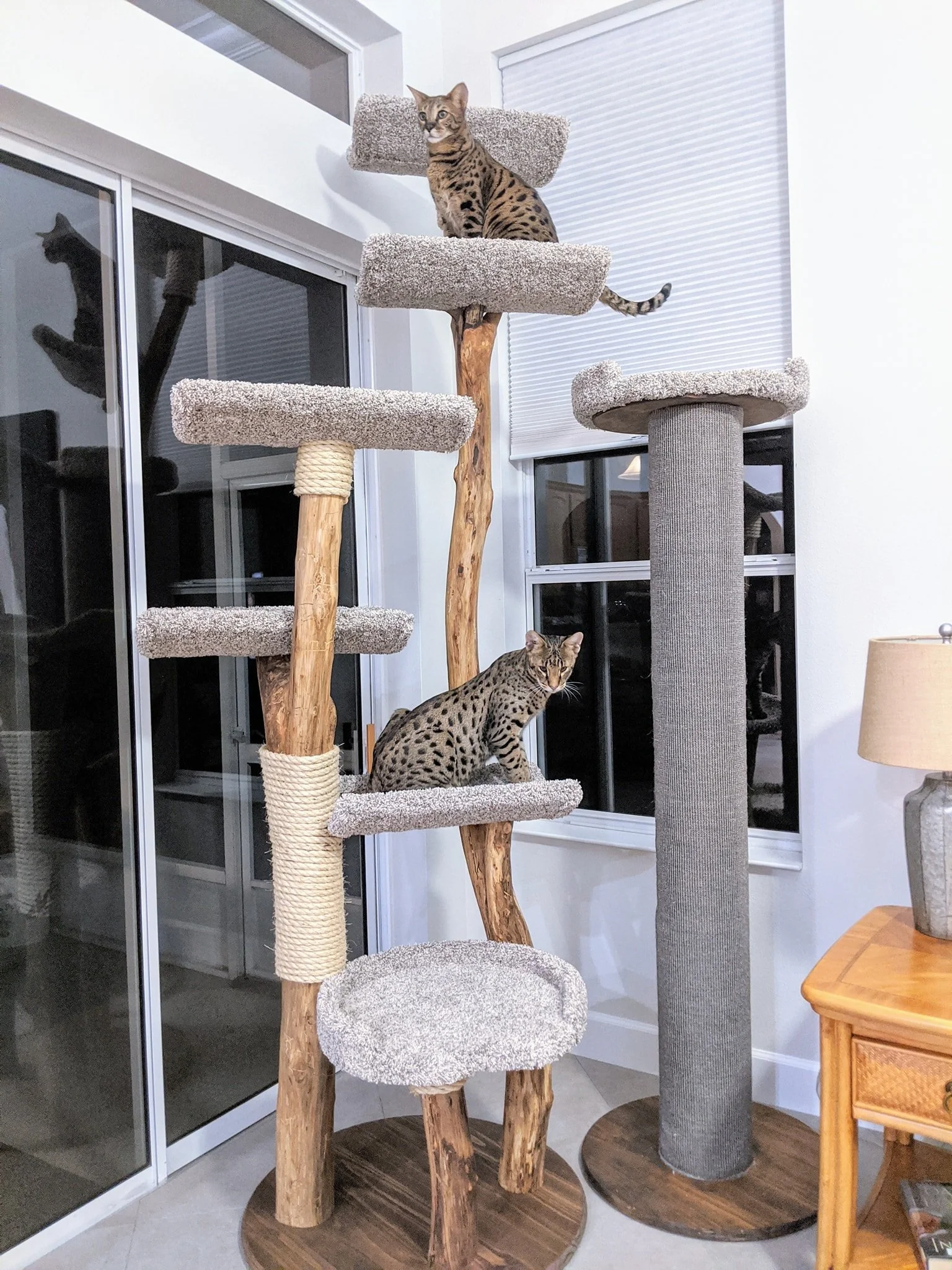 Create your own cat tree hot sale